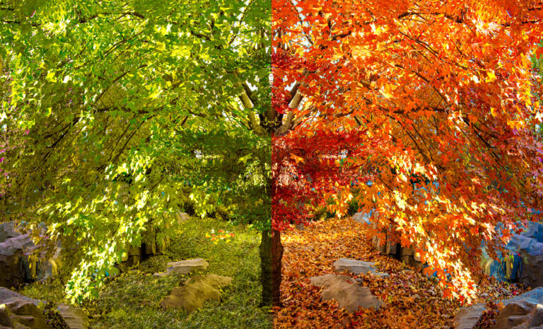 JPEG - Spring and Fall